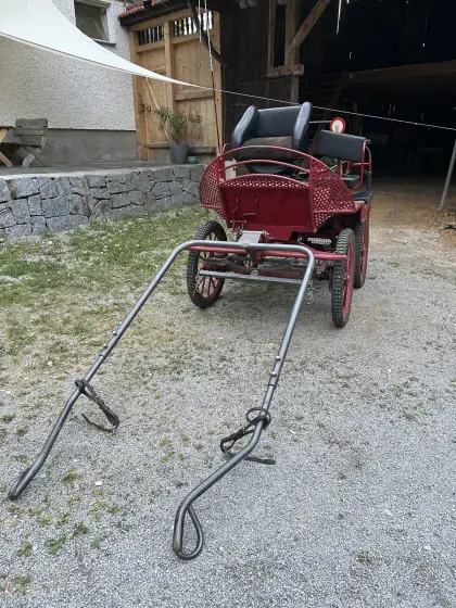 Marathonwagen für Kleinpferde