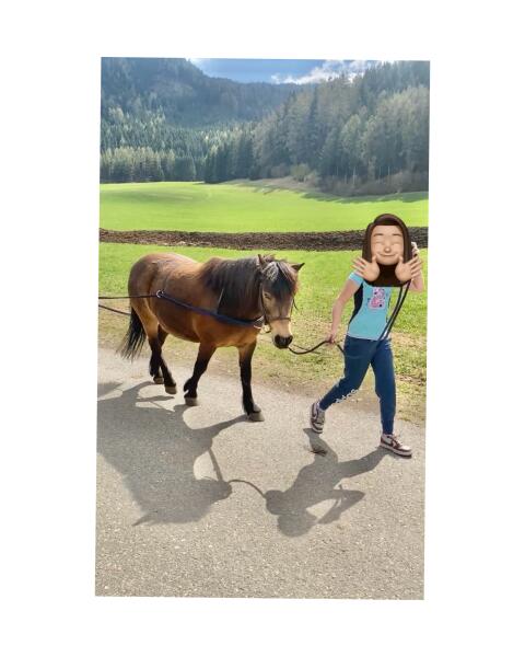Beistellpferd, Pony Beisteller
