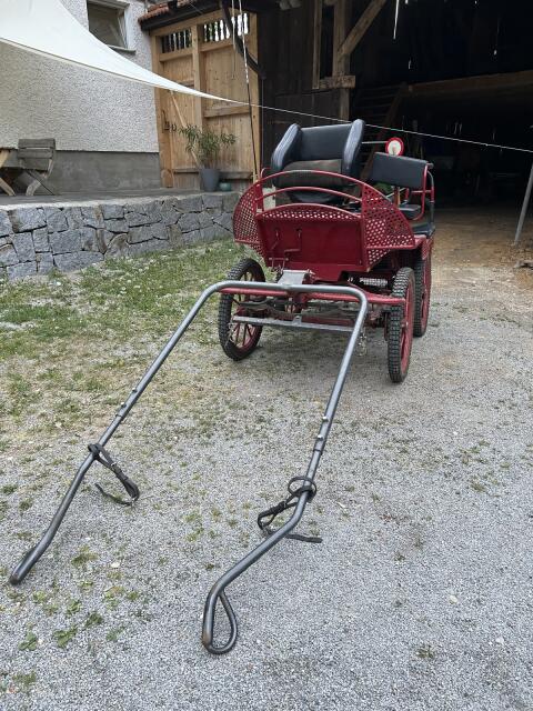 Marathonwagen für Kleinpferde