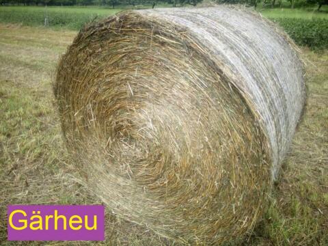 Gärheu, Heulage, Silage, Rundballen für Pferde
