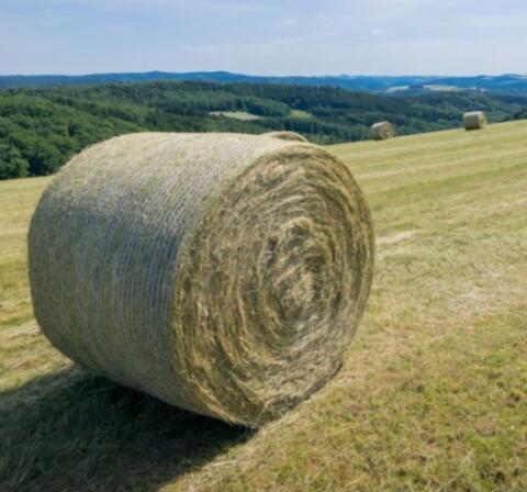 Heuballen 1. und 2. Schnitt