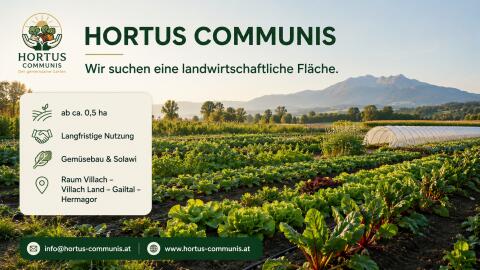 Wir suchen Pachtfläche für regenerativen Gemüse-Anbau