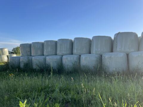 BIO Grassilage-Ballen