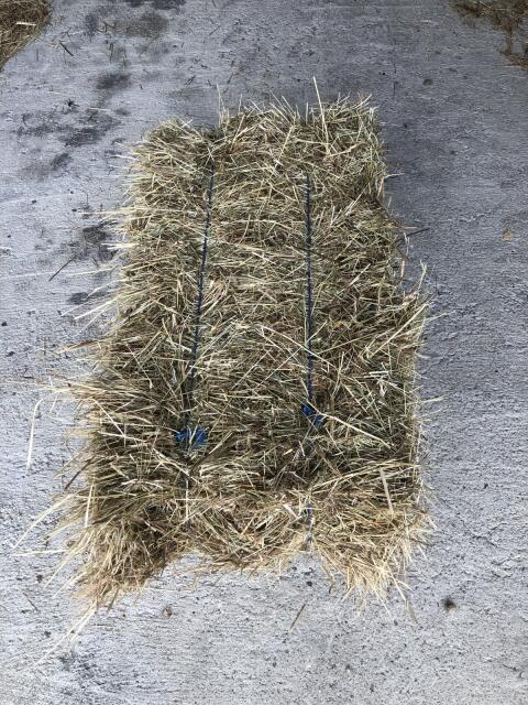 Heu in Kleinballen zu verkaufen