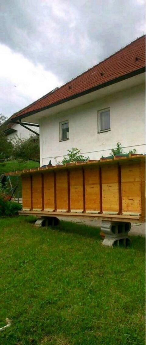 Bio Bienenvölker, Wirtschaftsvölker, Ableger