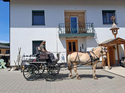 Einspänner Marathonwagen