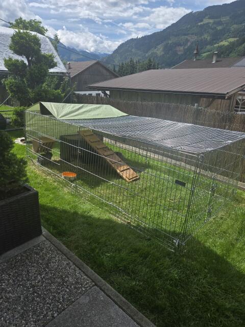 Freilaufgehege Kaninchen