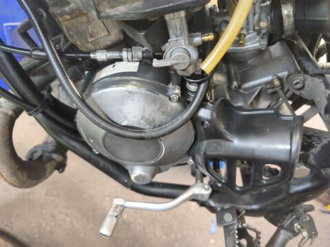 Moped-Motor AM6, Top-Zustand