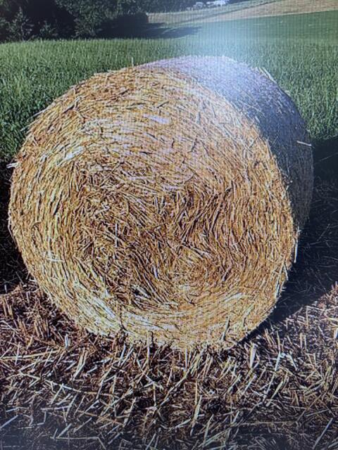 Verkaufe Strohrundballen