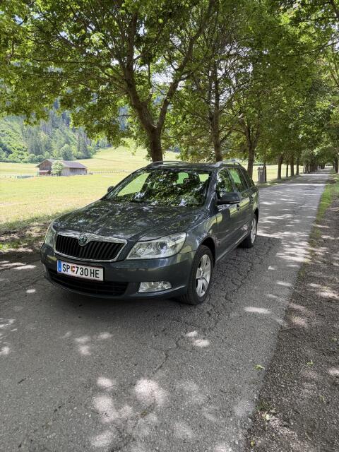 Skoda Octavia 1.6 TDI 4x4 Kombi, Family Van