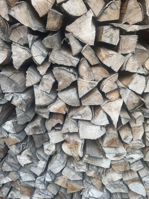 Buchenholz