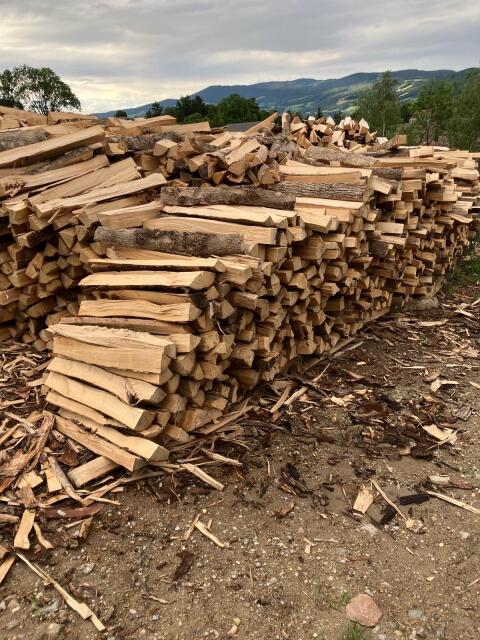 Brennholz Esche, Hartholz