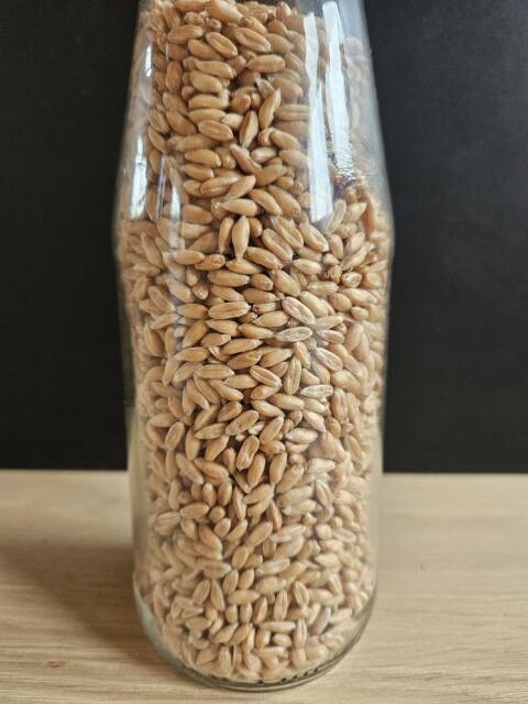 Bio-Dinkel 1.000 kg