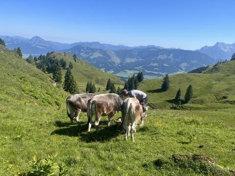 Wir haben noch Platz für 2 bis 6 Stk. Jungvieh