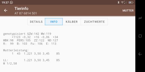 Stierkalb