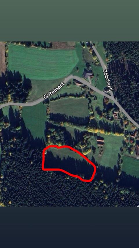 Wiese