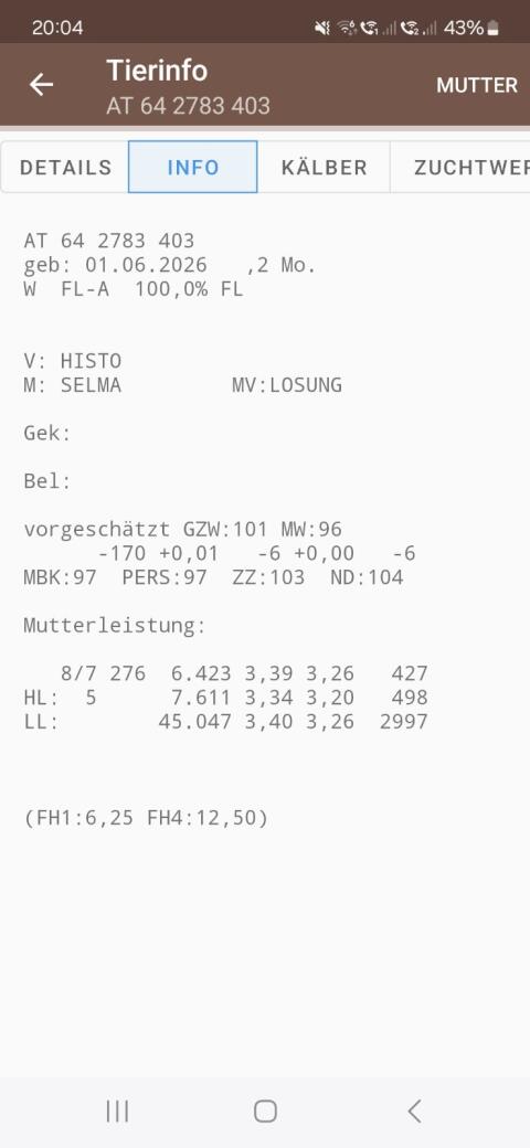 Bio-Fleckvieh Kuhkalb