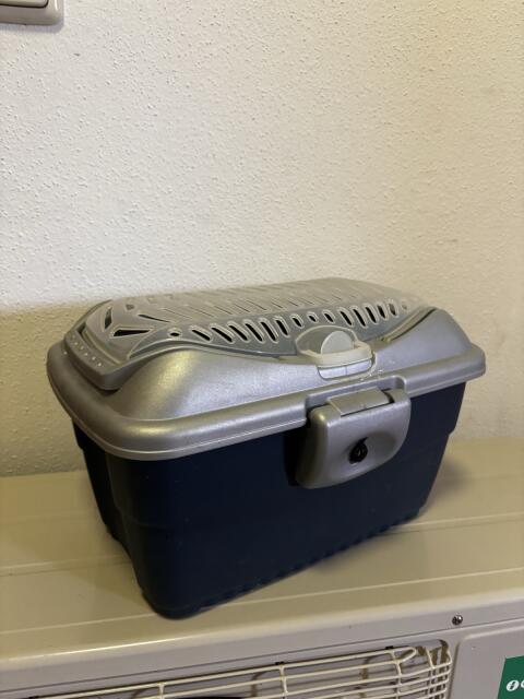 Transportbox