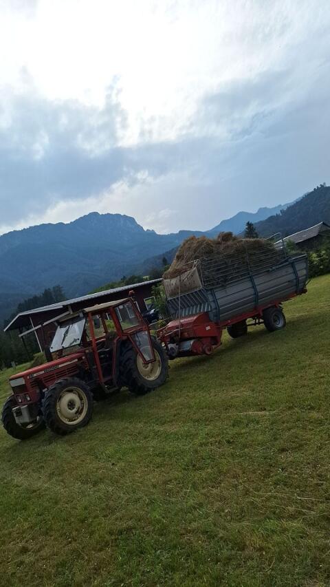 Mengele Ladewagen LW 20