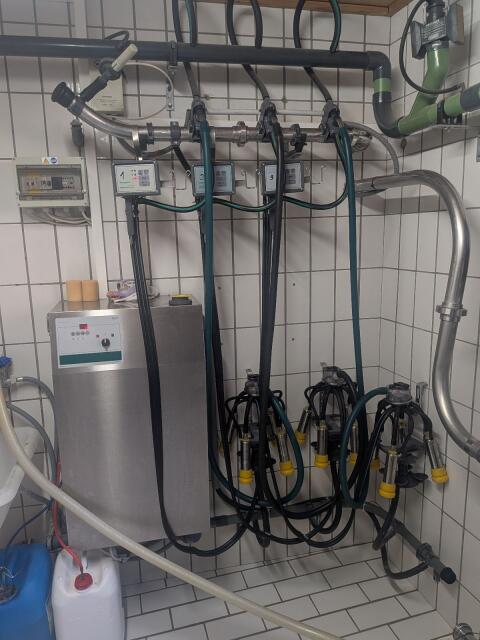 Rohrmelkanlage GEA