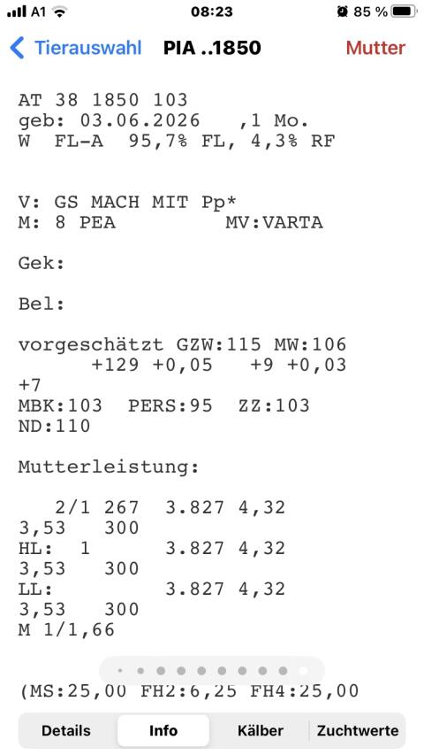 Bio-Zuchtkälber