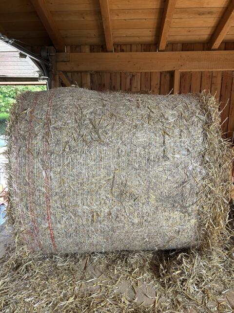 Stroh-Rundballen