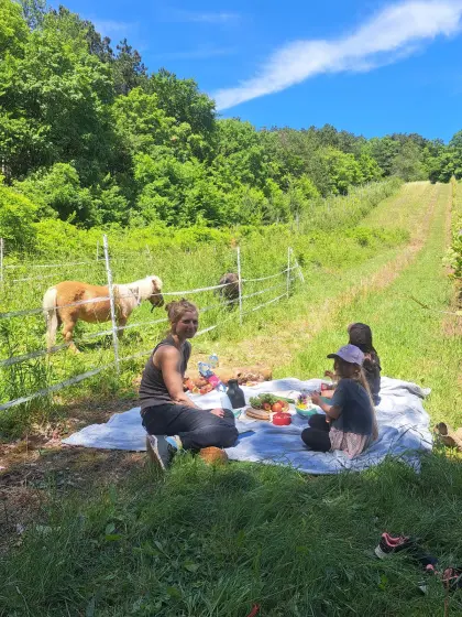 Geführte Ausritte, Reitunterricht, Ponywanderungen