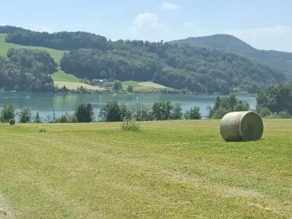 Heurundballen