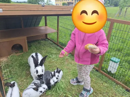 Kaninchen abzugeben