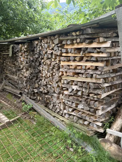 Brennholz Buche/Esche/Fichte