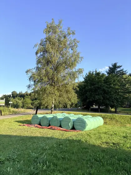 Grassilageballen