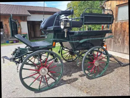Wagonette, Kutsche