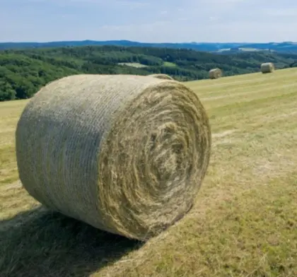 Heuballen 1. und 2. Schnitt