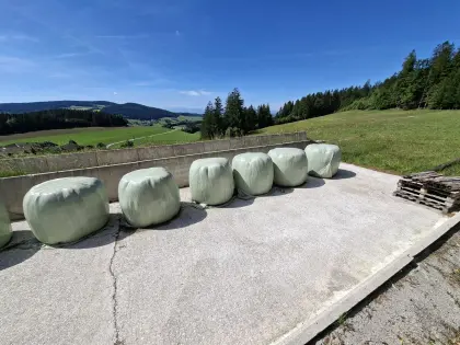 Siloballen