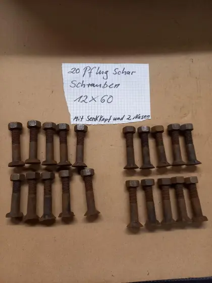 20 Pflugscharschrauben 12 x 60