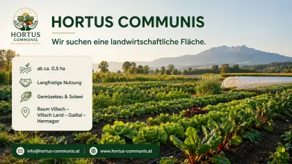 Wir suchen Pachtfläche für regenerativen Gemüse-Anbau