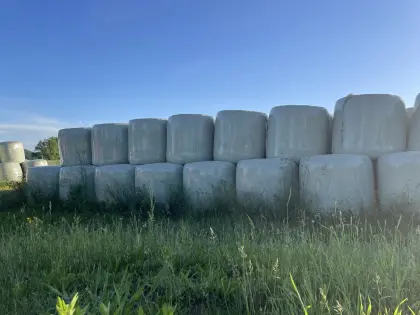 BIO Grassilage-Ballen