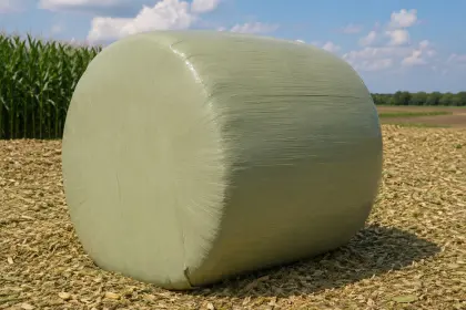 Mais-Siloballen