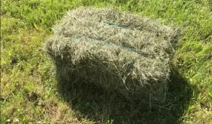 Kleinballen