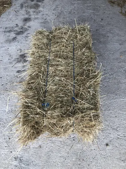 Heu in Kleinballen zu verkaufen