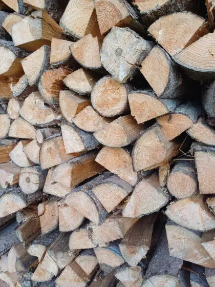 Brennholz