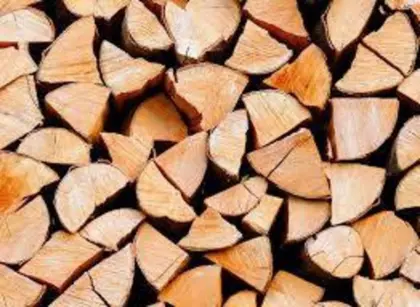 Brennholz