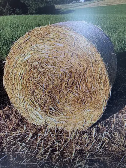 Verkaufe Strohrundballen