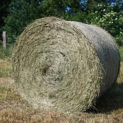 Suche Heu-Ballen