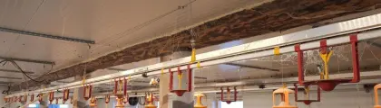 1x Futterbahn und 1x Tränkebahn Hühner, Puten, Geflügel