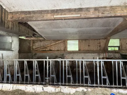 Austallung, Fressgitter
