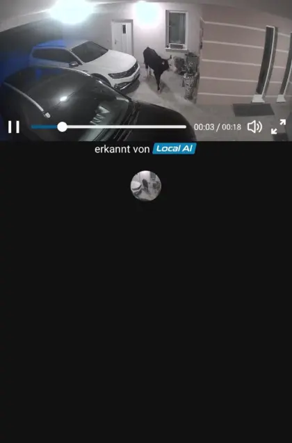 Suche entlaufenes Kalb