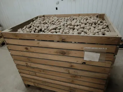 Verschenke Futterkartoffeln