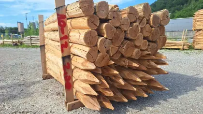 Akazienpfähle 2 m ca. Ø 10–12 cm Dm.