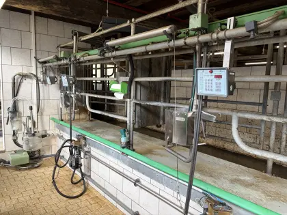GEA Tandem-Melkstand